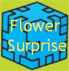 Flower 
Surprise