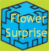  Flower
Surprise